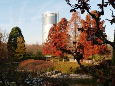 Herbststimmung im Rheinauenpark Bonn
