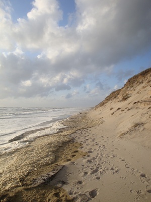 Dünenlandschaft