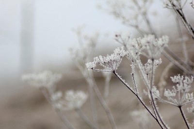 Schnee von gestern