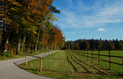 Herbstweg im Sonnenschein