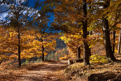 ein schöner Herbsttag