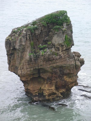 Neuseeland - Felsen im Wasser