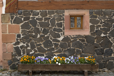 Wand mit Blumen