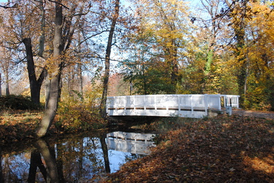 Brücke im Schloßgarten