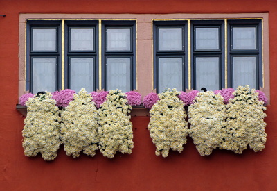 Chrysanthemengeschmücktes Fenster