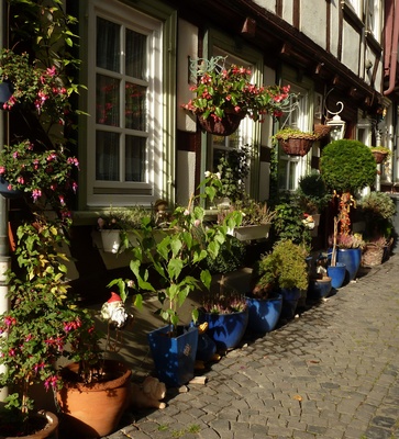 Altstadthaus im Blumenfieber