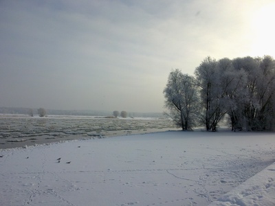 Die Oder im Winter