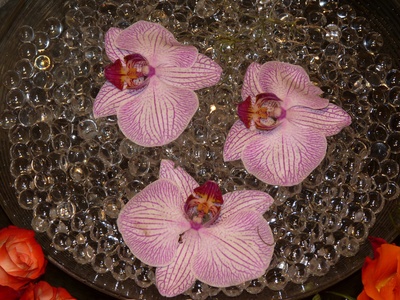 Stillleben mit Orchidee und Glaskugel