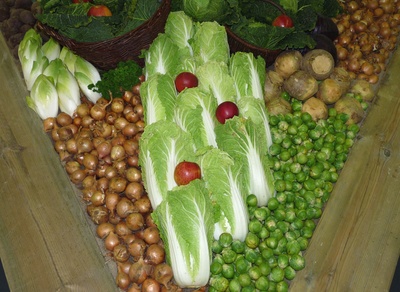 Gemüse-Vielfalt 3