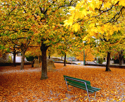 Herbst in Neuenburg
