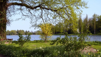 Frühling im Wörlitzer Park