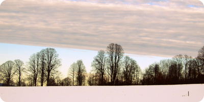 Winter am Feld