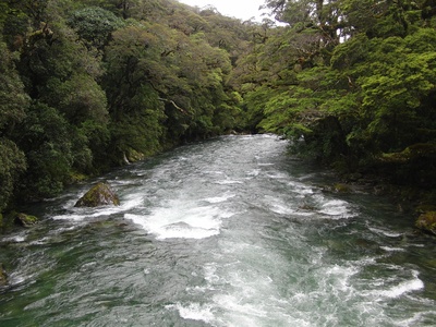 Neuseeland - Fluss