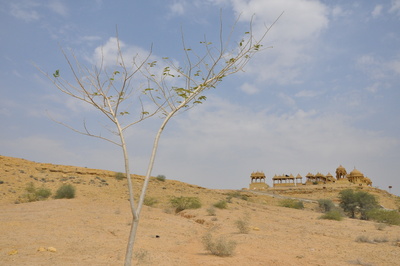 Landschaft in Rajasthan