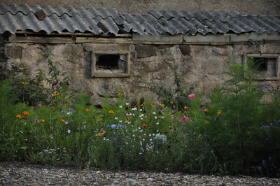 "Blühende Landschaften"