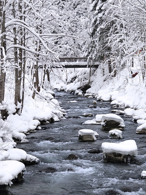 winterlicher Bach