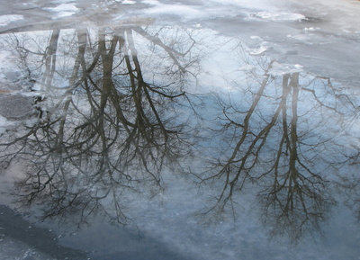 Spiegelung in Eis