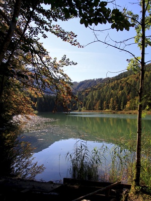 Vorderstoder - Schafferteich