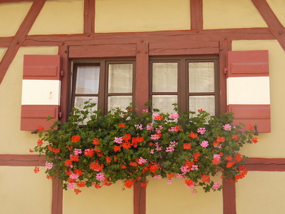 Fenster in Nürnberg