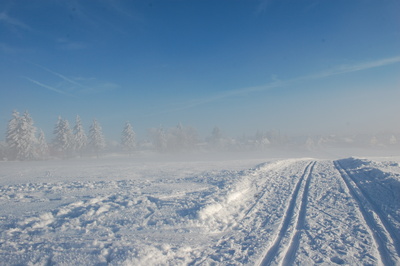 Frauenwald im Winternebel