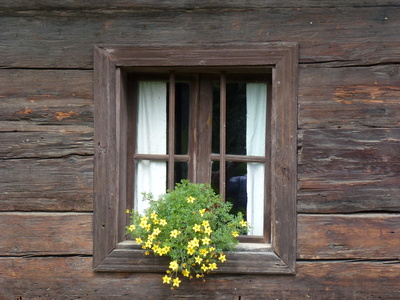 Fenster3