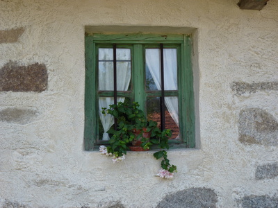 Fenster 7