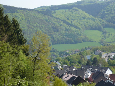 Ein Stück Sauerland Natur