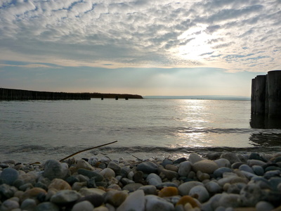 Am Neusiedlersee