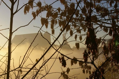 Dom hinter Sträuchern und im Nebel