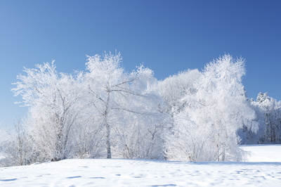 winterlandschaft