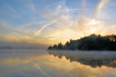 Nebel am See