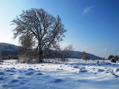 Winterbild für den Kalender