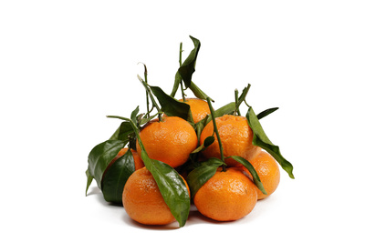Mandarinen 2