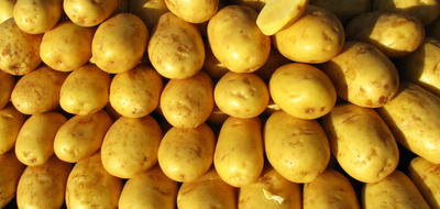Bildschöne Kartoffeln