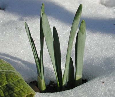 der kampf durch den Schnee