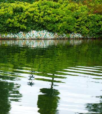 Grüne Welle im Gartenbau