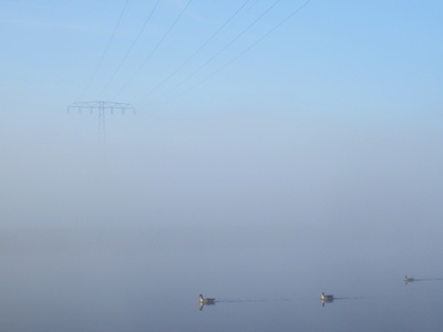 Novembermorgen an der Elbe Novembermorgen an der Elbe
