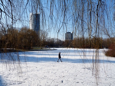 Winterzeit im Rheinauenpark Bonn