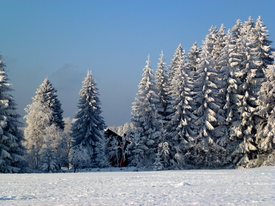 Wintermorgen - die Hütte im Wald