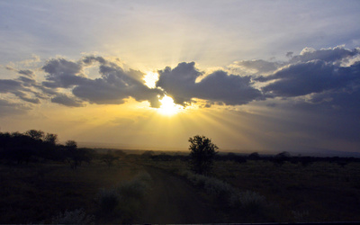 Sonnenaufgang im Amboseli Nationalpark
