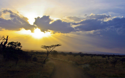 Sonnenaufgang im Amboseli Nationalpark