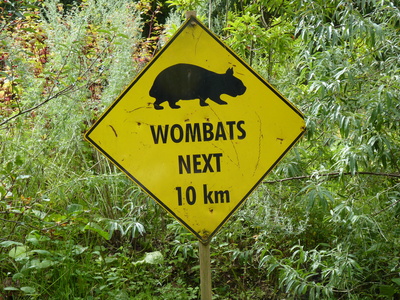 Wombats-Warntafel