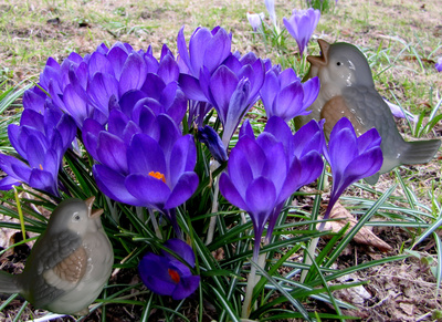 Warten auf den Frühling