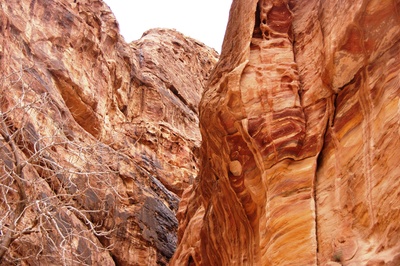 Die Felsenschlucht von Petra
