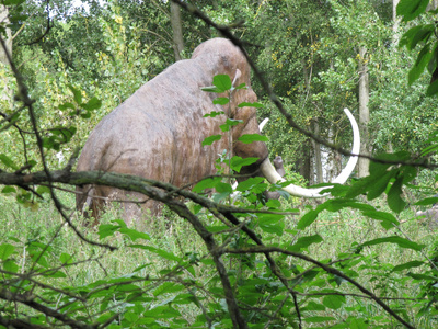 Mammut auf Rügen