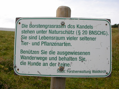 Schild - Borstengrasrasen