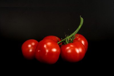 Tomaten 63
