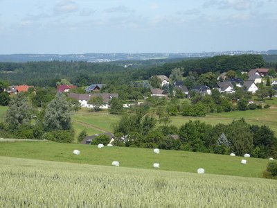 Ein Stück Sauerland Natur