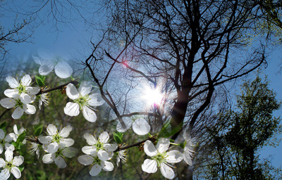 Frühling in Sicht