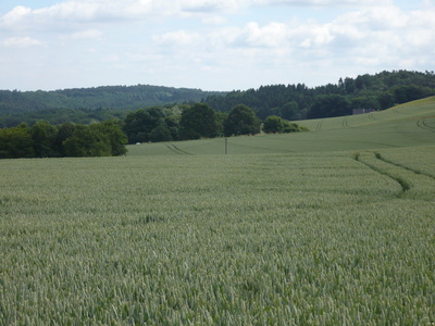 Ein Stück Sauerland Natur